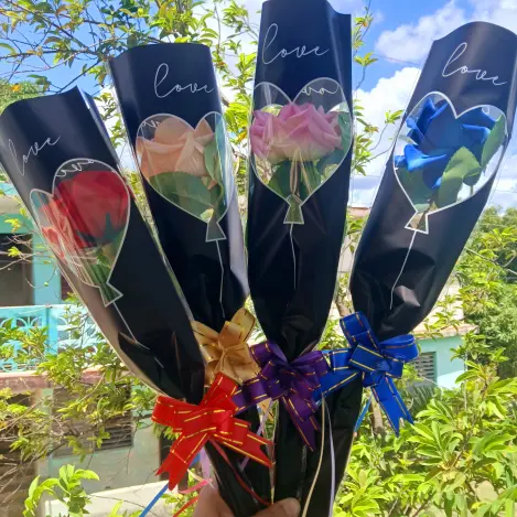 Flor con manga's photo #1