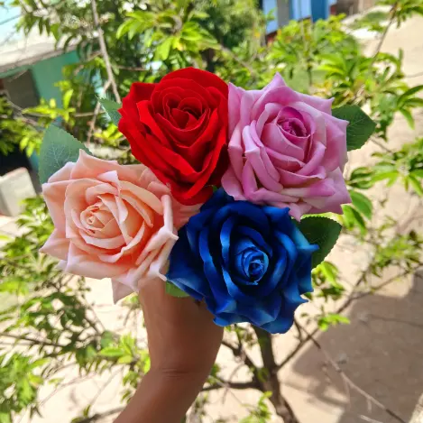 Flor con manga's photo #1