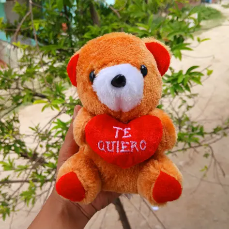 Peluches pequeños's photo #1